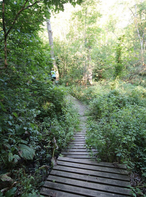 John Nemy Nature Trail景点图片