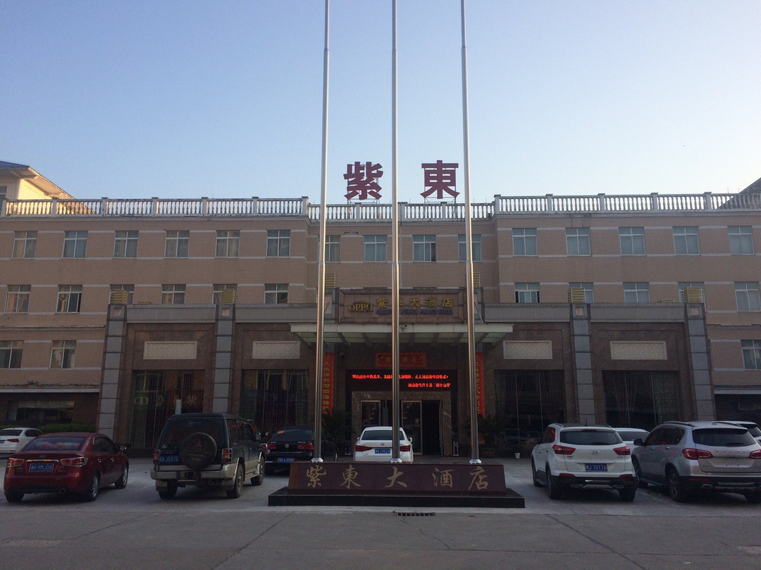 紫东大酒店