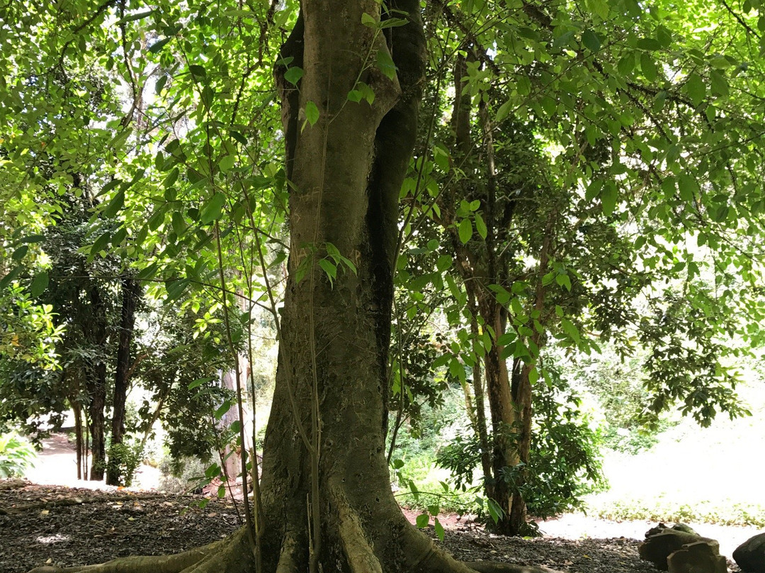 瓦西瓦旅游景点-瓦西瓦植物园