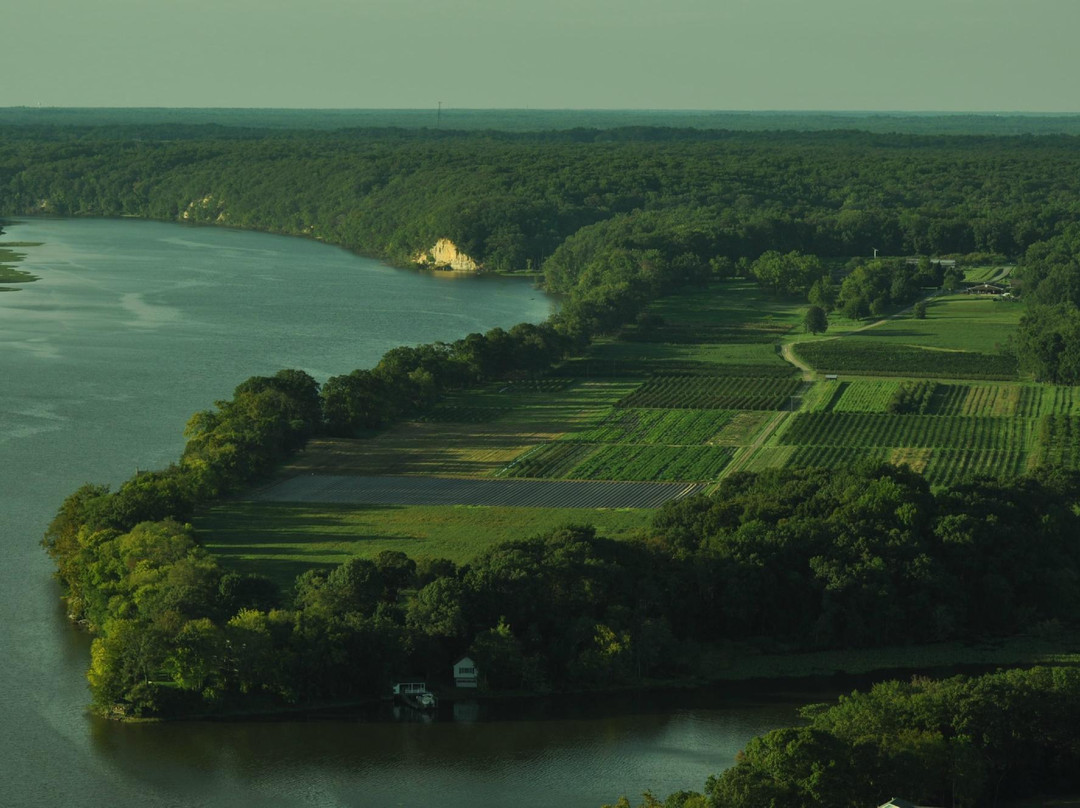 Westmoreland Berry Farm & Market景点图片