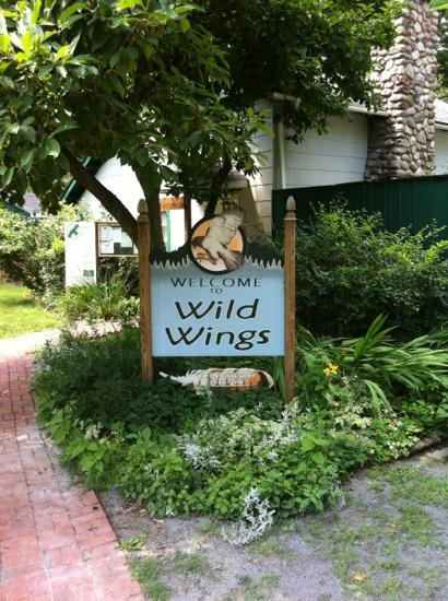 Wild Wings景点图片