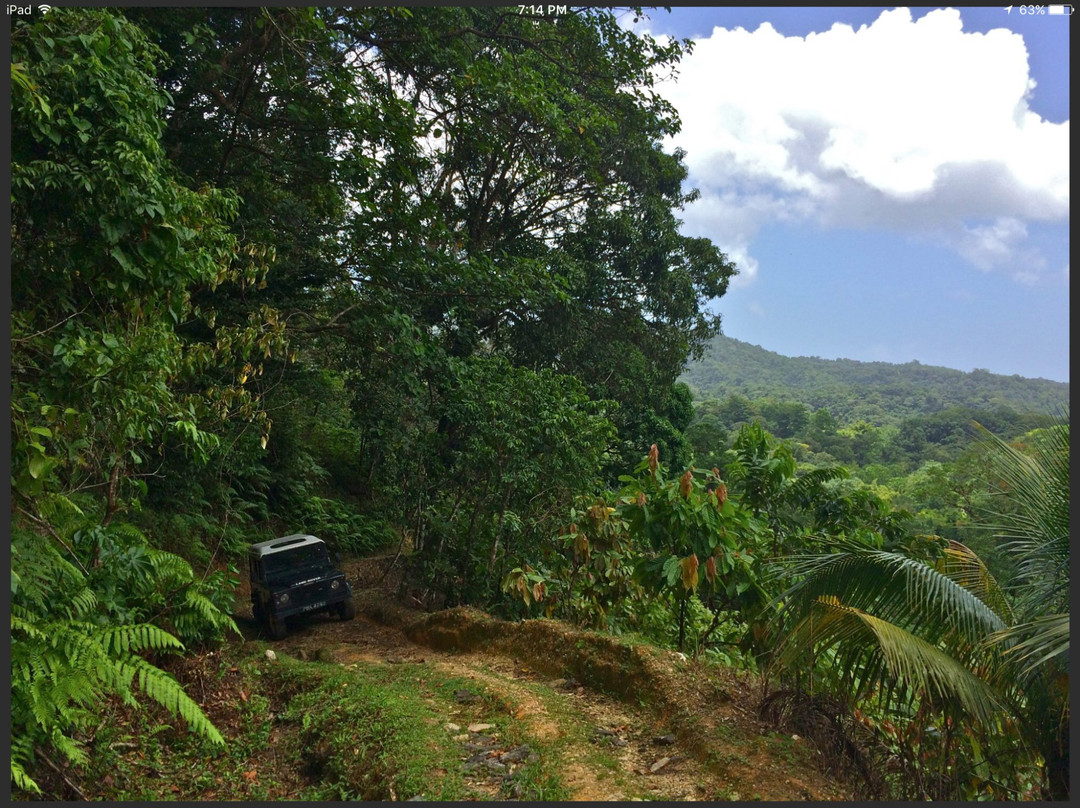 Caribbean Discovery Tours-西班牙港必去景点