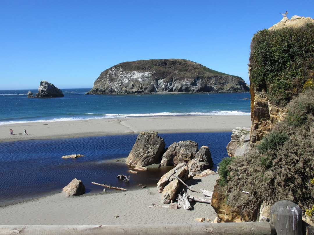 Harris Beach State Park景点图片