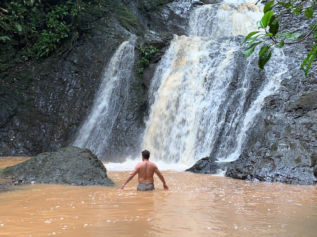 Las Piñas–Parañaque Critical Habitat and Ecotourism Area-拉斯皮纳斯市必去景点