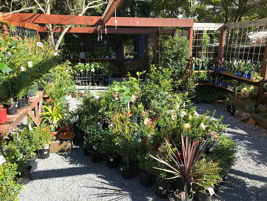 Larrikins Lock-up-Comboyne必去景点