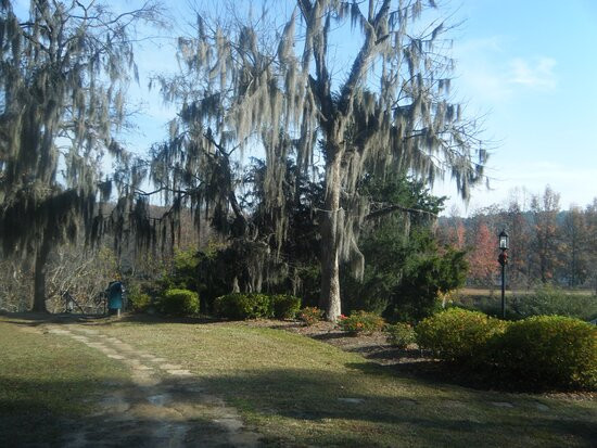 North Augusta Greenway Trail-North Augusta必去景点