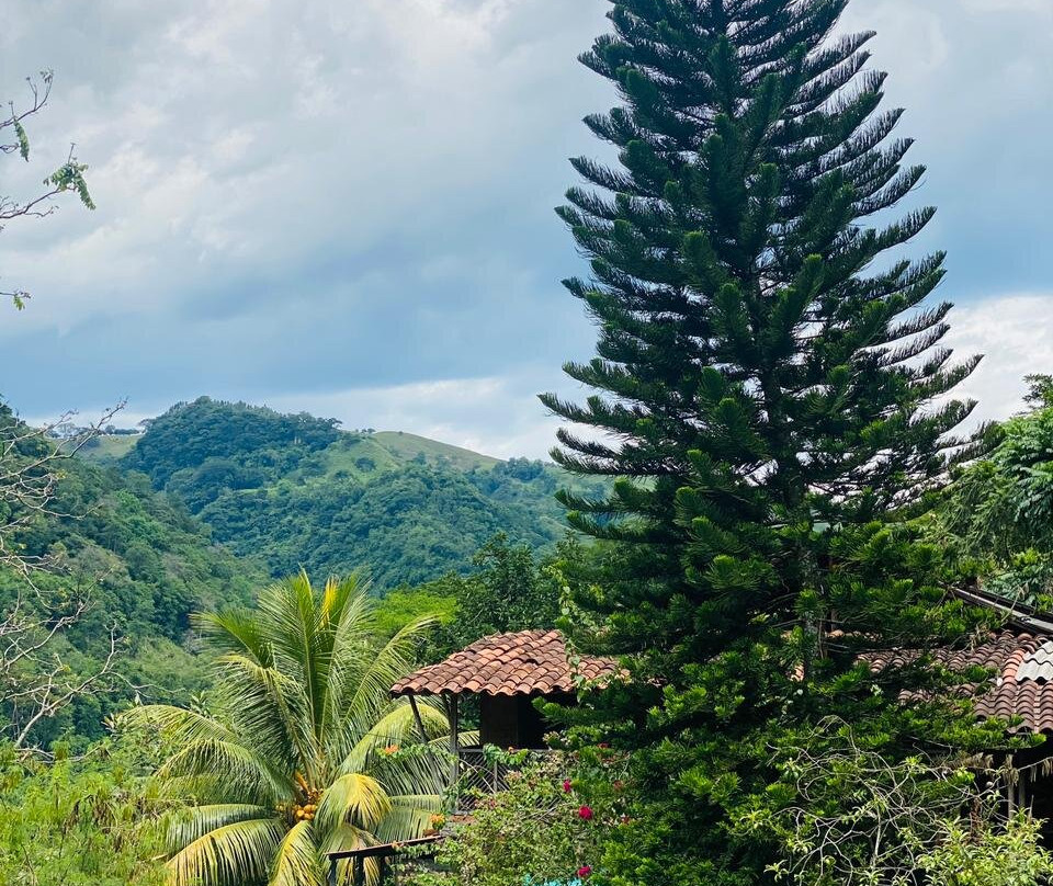 Hotel Parador RioMar