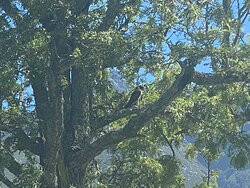 Swellendam Golf Course-斯韦伦丹必去景点