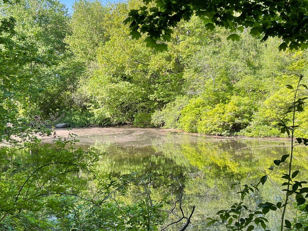 Marblehead Neck Wildlife Sanctuary景点图片