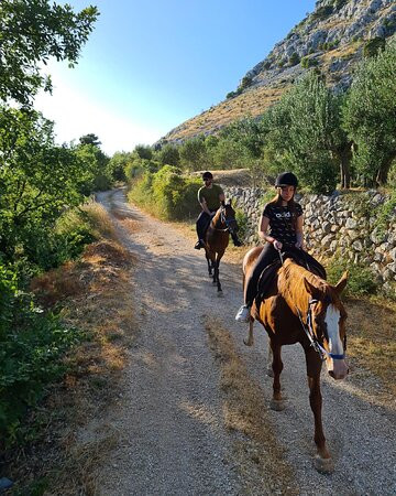 Horseback Riding Podstrana-斯普利特必去景点