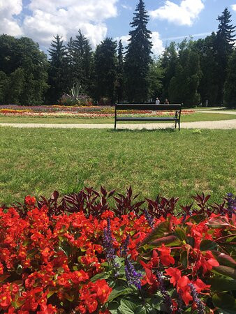 Park Zdrojowy景点图片