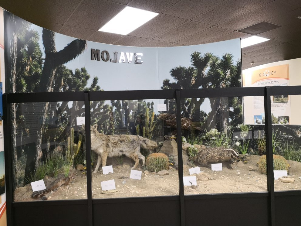 Apple Valley Legacy Museum-Apple Valley必去景点