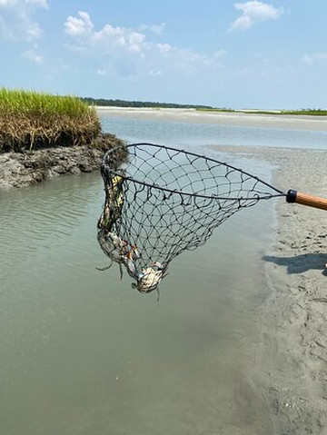J & L Kayak Tours-美特尔海滩必去景点