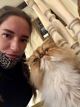 Zoki Cat Cafe景点图片