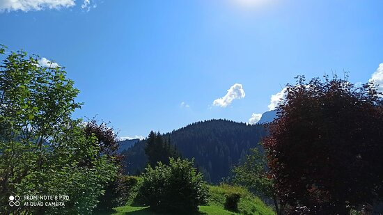 Hotel Siera Hof主图