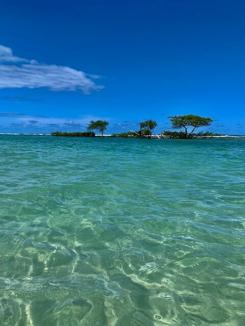 Pousada Paraiso Carneiros-泳池