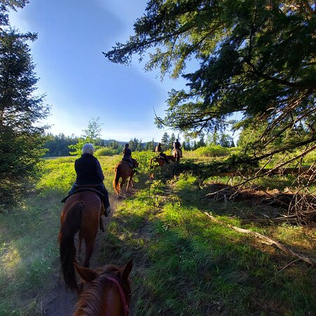Parade Rest Ranch-西黄石镇必去景点