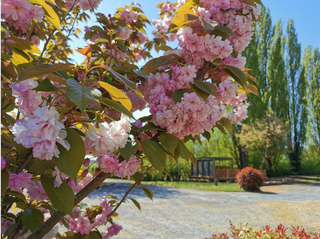Camping La Vallée De L'indre