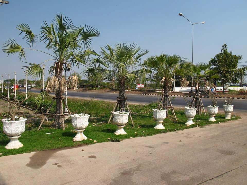 The Star Hotel主图