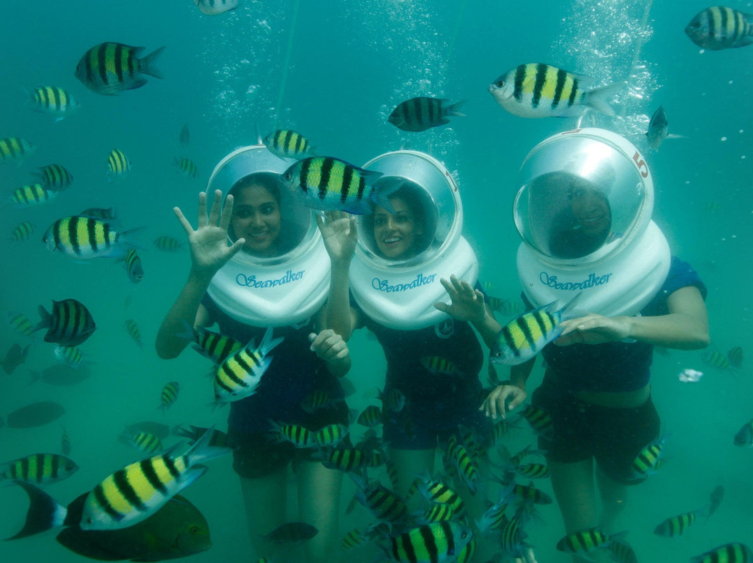 Sea Link Adventures-布莱尔港必去景点