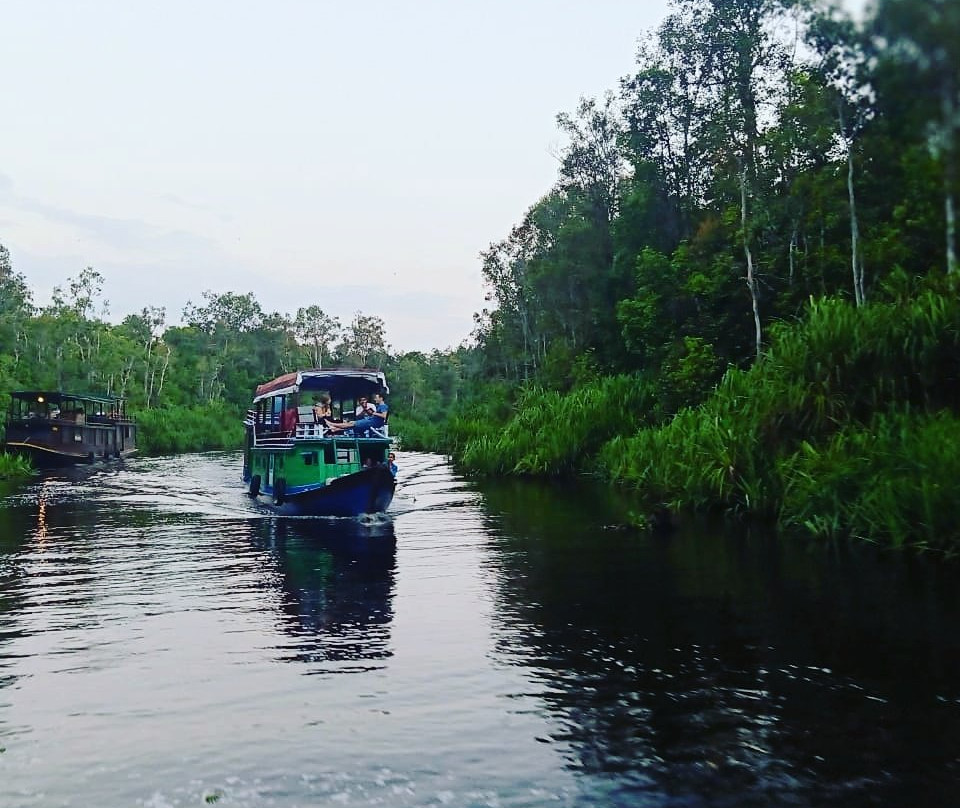 OrangutansHoliday-Pangkalan Bun必去景点
