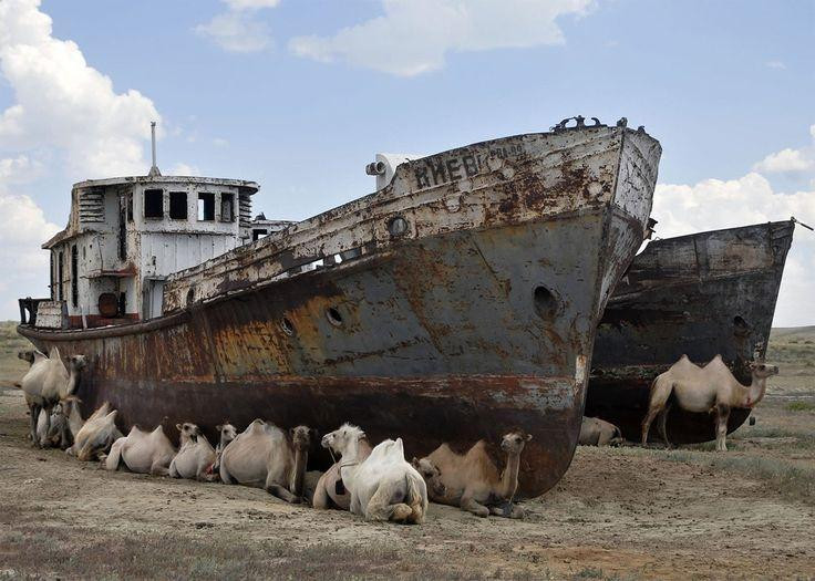 The Regional History and Aral Sea Museum-Muynak必去景点
