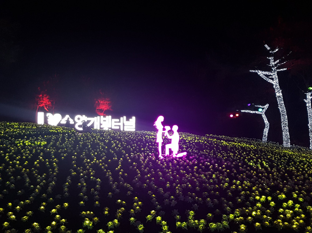 Suyanggae Light Tunnel