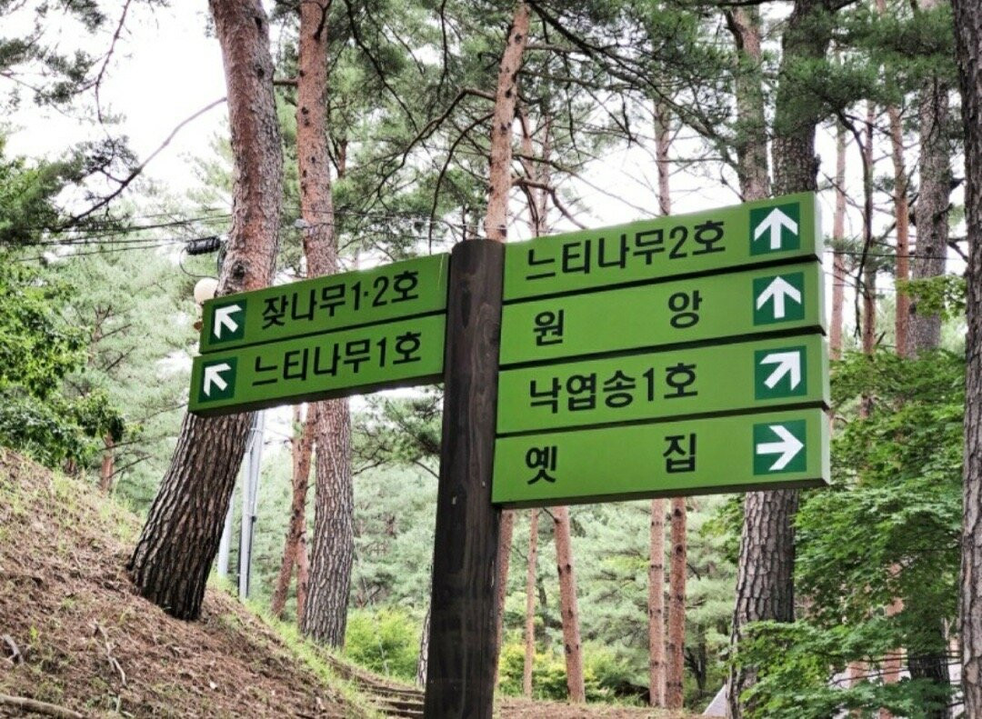Gusugok Recreational Forest
