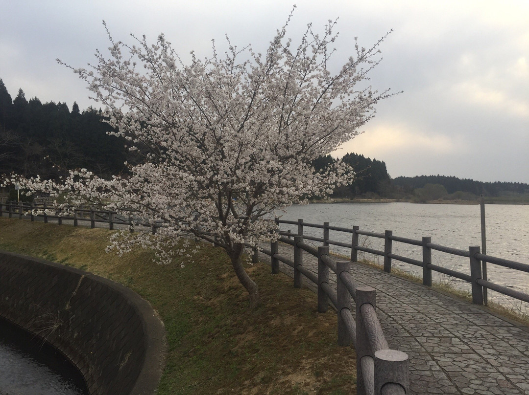 下田公园景点图片