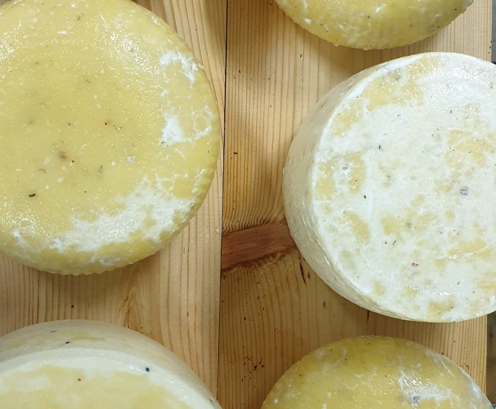 Mishnevo Farm-Mishnevo必去景点