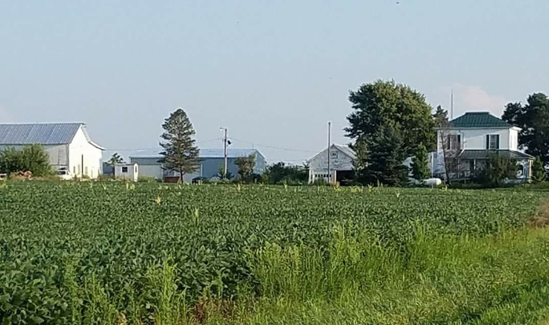 Arcadia旅游攻略图片