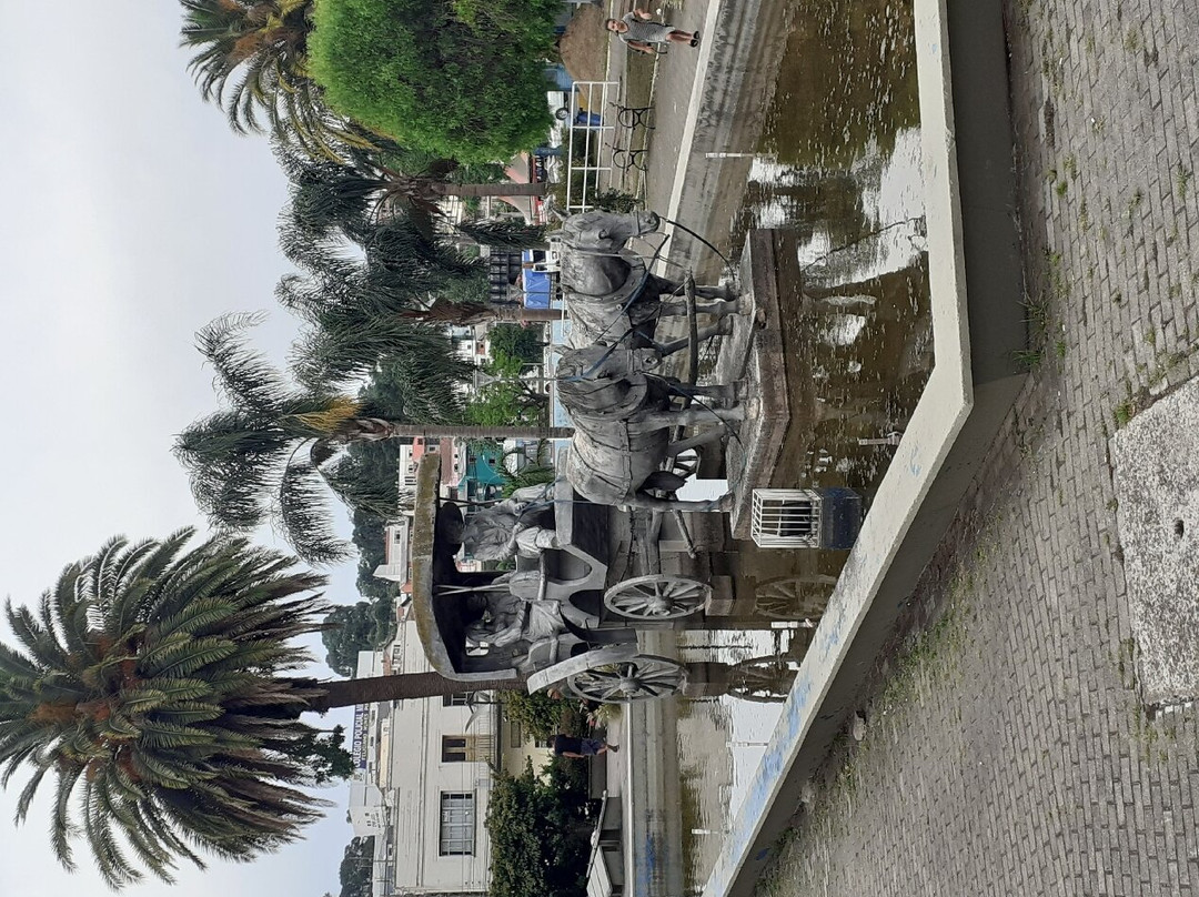 Praça Vidal Ramos Sênior景点图片
