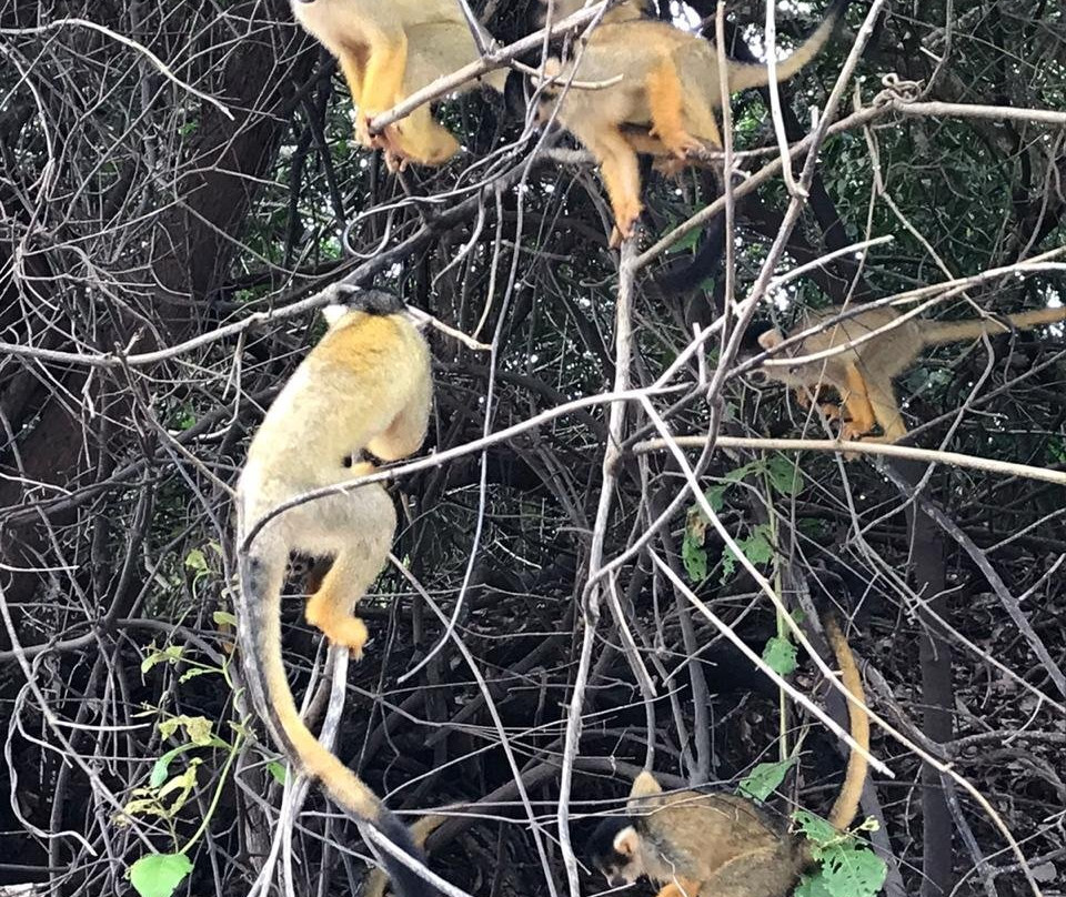 Sunset Travel-Rurrenabaque必去景点