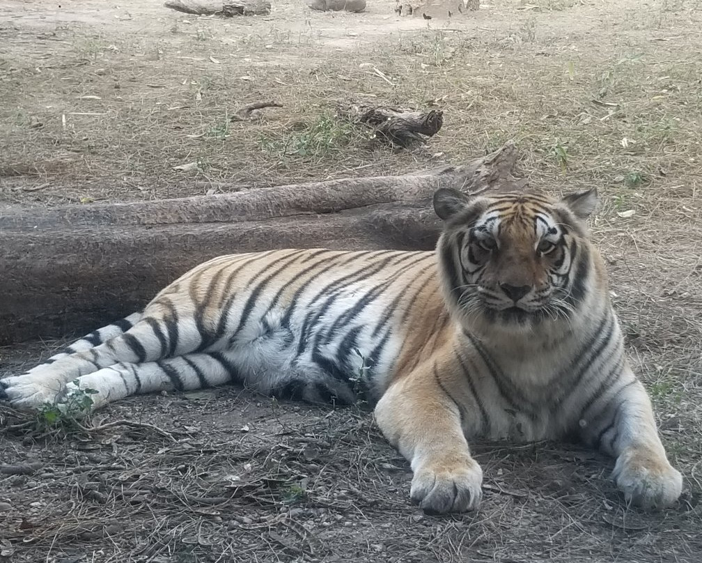 Gladys Porter Zoo-布朗斯维尔必去景点