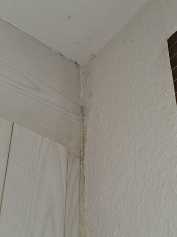 英格丽德·加尼酒店主图