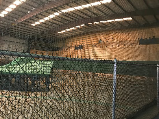Vince's Sports Center-纽瓦克必去景点