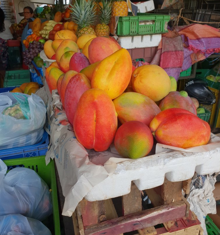 Plaza Principal de Girardot-Girardot必去景点