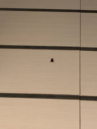 Fairfield Inn & Suites Charlotte Matthews主图