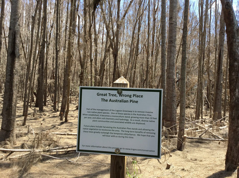 Lagoon Greenway-维罗海滩必去景点