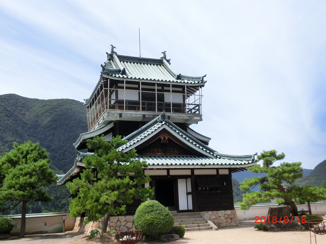 Kamioka Castle景点图片