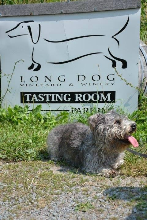 Long Dog Winery景点图片