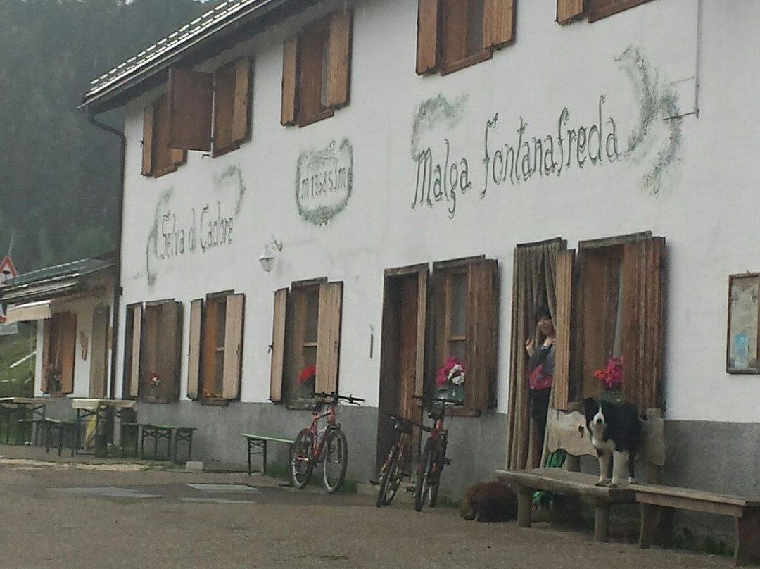 Malga Fontanafreda - Azienda agricola Belot
