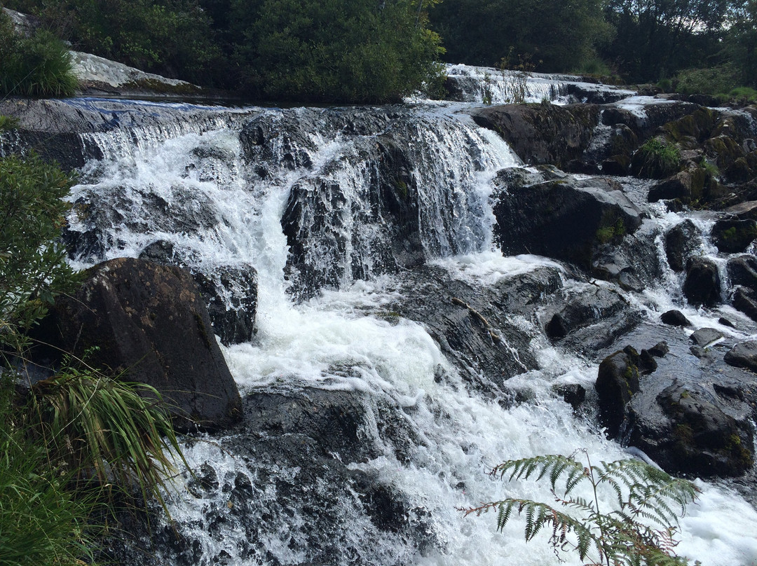 Nantcol Waterfalls景点图片