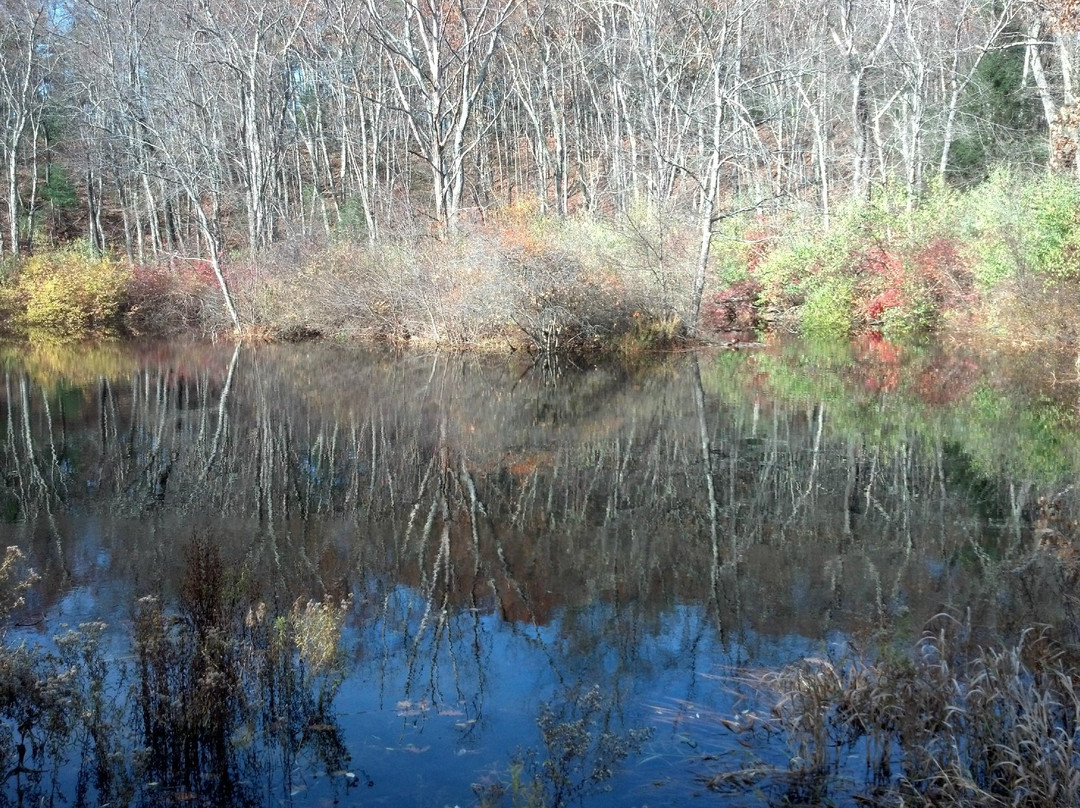 Laughing Brook Wildlife Sanctuary景点图片