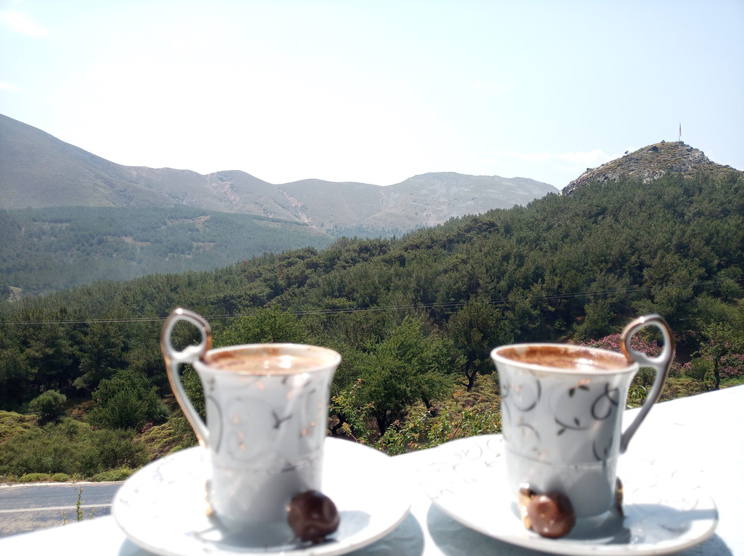 Yayla Pansiyon