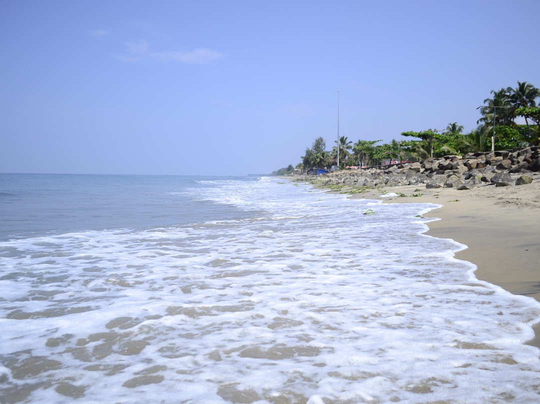 Cherai Beach景点图片