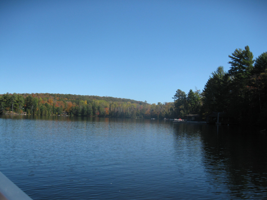 Lake of Bays Boat Tours-Lake of Bays必去景点