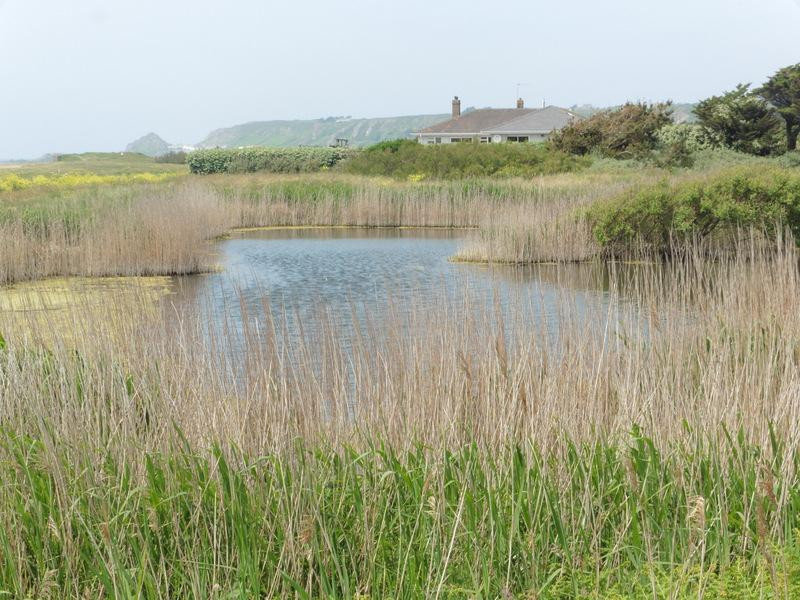 St. Peter旅游景点-The National Trust for Jersey Wetland Centre