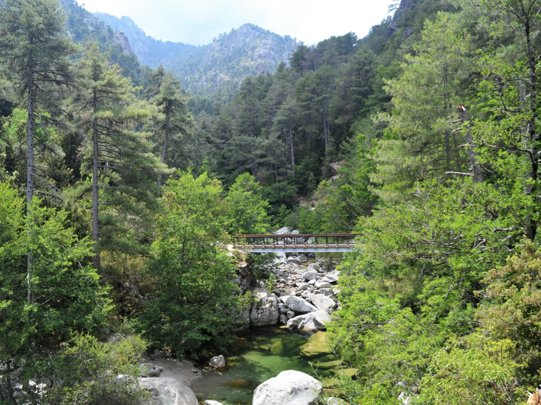 Vallée Du Tavignano
