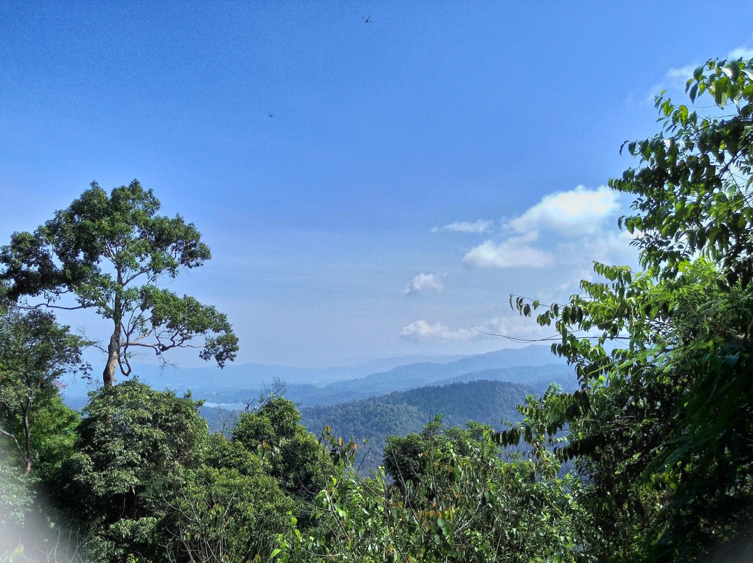 Gunung Angsi景点图片